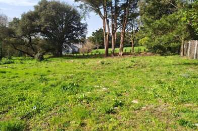 Terrain  402800 €