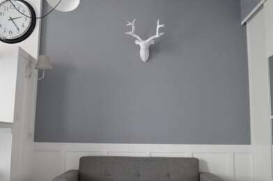 Appartement 2 pièces 510 €