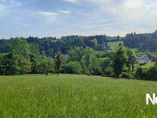 Superbe terrain de 2.500 m² à Tulle — photo du bien