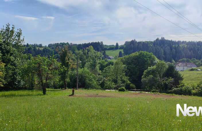 Superbe terrain de 5.000 m² à Tulle — photo 3