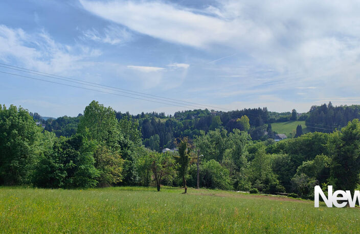 Superbe terrain de 5.000 m² à Tulle — photo 4