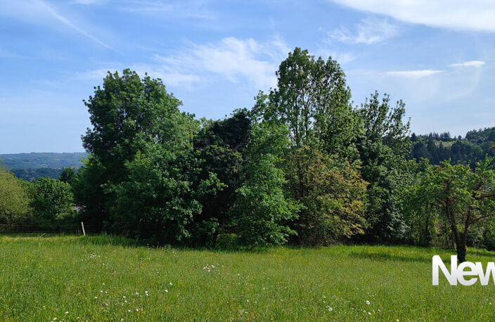 Superbe terrain de 5.000 m² à Tulle — photo 5