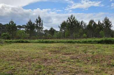Terrain  145000 €