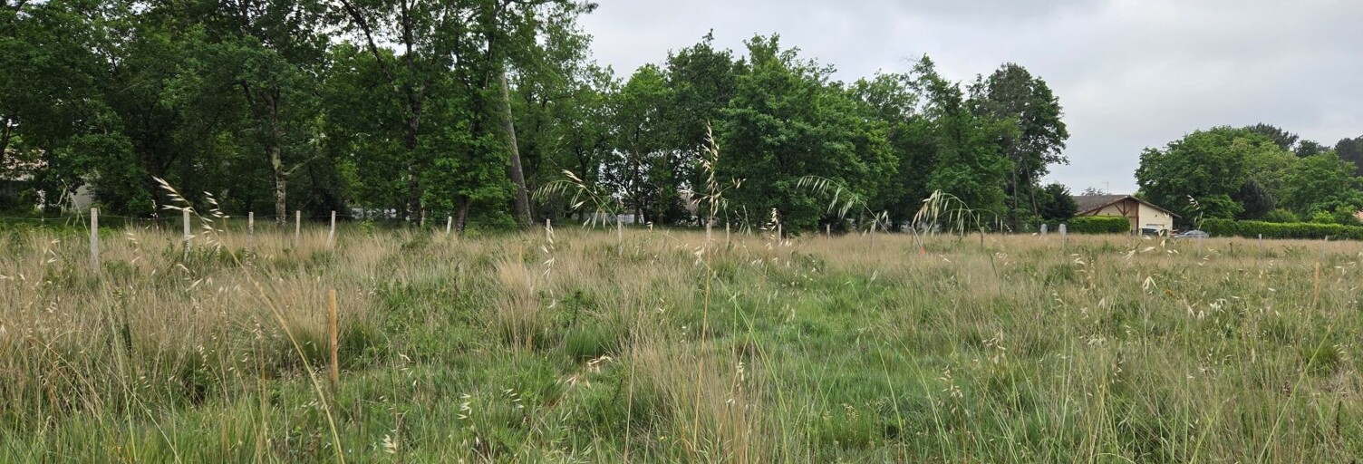 Terrain 520 m² à construire Parentis-en-Born (40160)