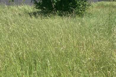 Terrain  97000 €