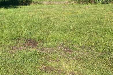Terrain  129000 €