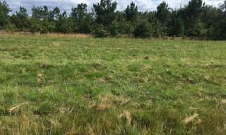 Terrain 1300 m² à construire Moustey (40410)