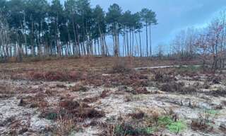 Terrain 375 m² à construire Gastes (40160)