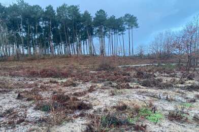 Terrain  97000 €