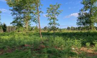 Terrain 750 m² à construire Biscarrosse (40600)