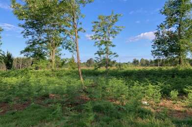 Terrain  220000 €