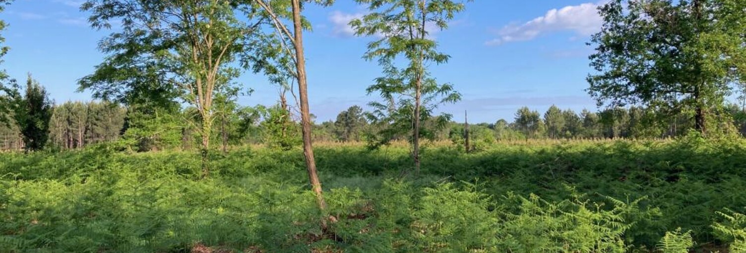 Terrain 750 m² à construire Biscarrosse (40600)