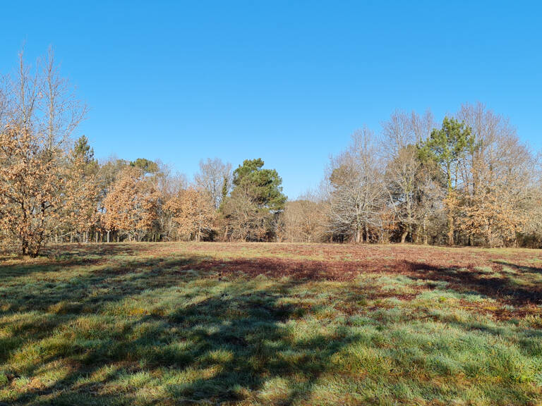 24400 entre Mussidan et Montpon  Terrain  de 11408 m² dont  constructible 4000m ² — photo 1