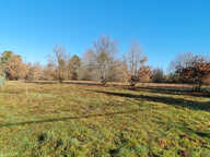24400 entre Mussidan et Montpon  Terrain  de 11408 m² dont  constructible 4000m ² — photo 2