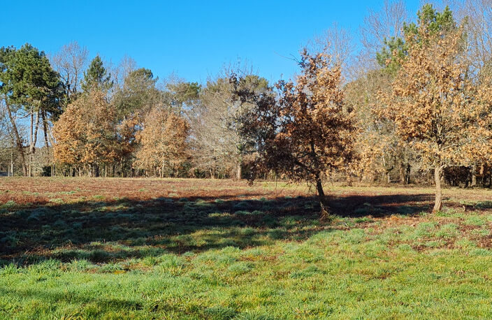 24400 entre Mussidan et Montpon  Terrain  de 11408 m² dont  constructible 4000m ² — photo 3