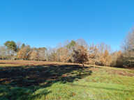 24400 entre Mussidan et Montpon  Terrain  de 11408 m² dont  constructible 4000m ² — photo 4