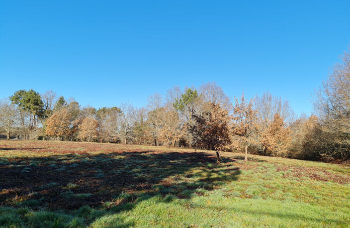24400 entre Mussidan et Montpon  Terrain  de 11408 m² dont  constructible 4000m ² — photo 4