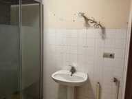 LANGRES, Studio 30 m2, etage et grenier améngeables — photo 4