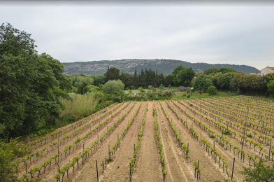 Terrain  190000 €