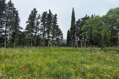 Terrain  190000 €