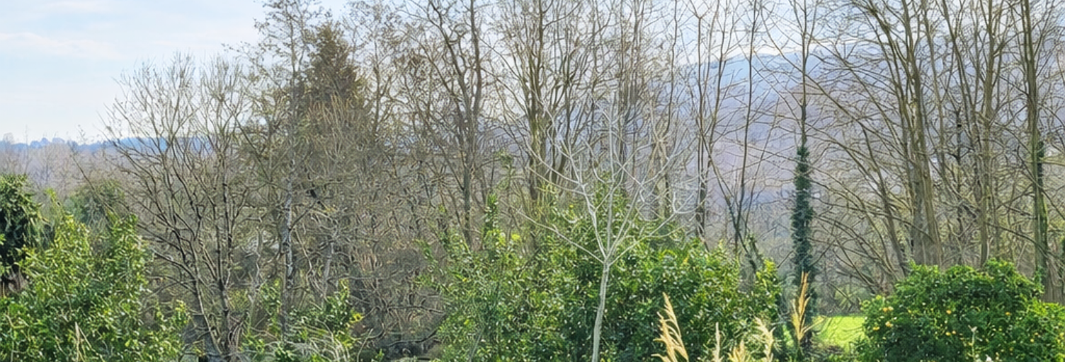Terrain  853 m² à vendre à Urrugne (64122)