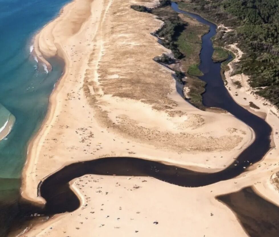 "Airial San Miguel" A Vendre Mandat Exclusif Saint Michel d'Escalus - 12km plages & 15km golf, superbe propriété de caractère 5 ch. / 5 bains sur 8500 m2 de parc, comprenant ferme landaise d'origine, bergerie, atelier & annexes dans un petit village aux traditions locales préservées ; idéal pour activité touristique d'hébergement. Calme & sérénité... 950.000 €.
