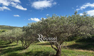 Terrain  5407 m² à vendre à Villeveyrac (34560)