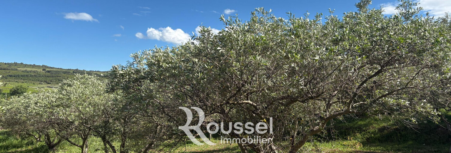 Terrain  5407 m² à vendre à Villeveyrac (34560)