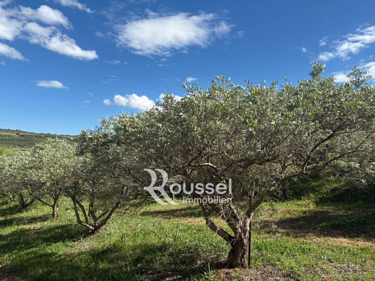 vente terrain agricole — photo 1