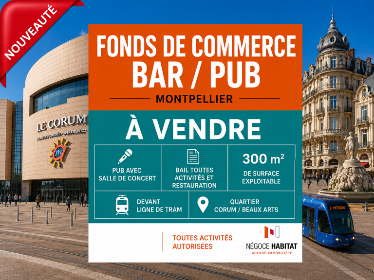 MONTPELLIER CENTRE   Fonds de commerce | Pub & Salle de Conc — photo 1