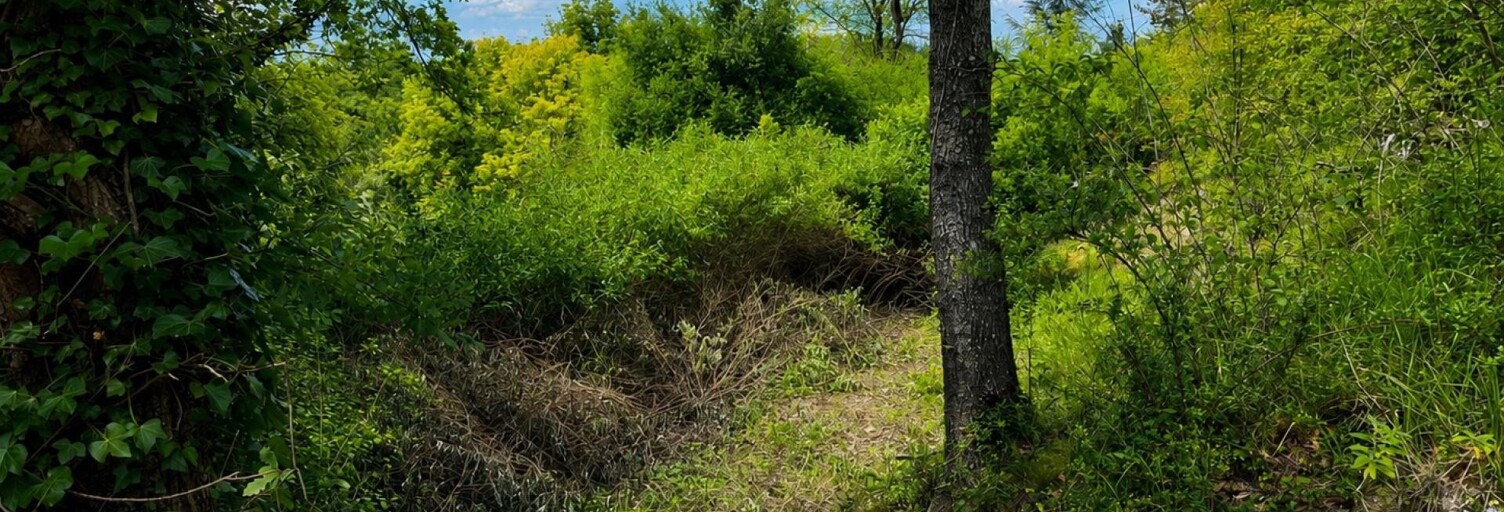 Terrain  2865 m² à vendre à Abondant (28410)