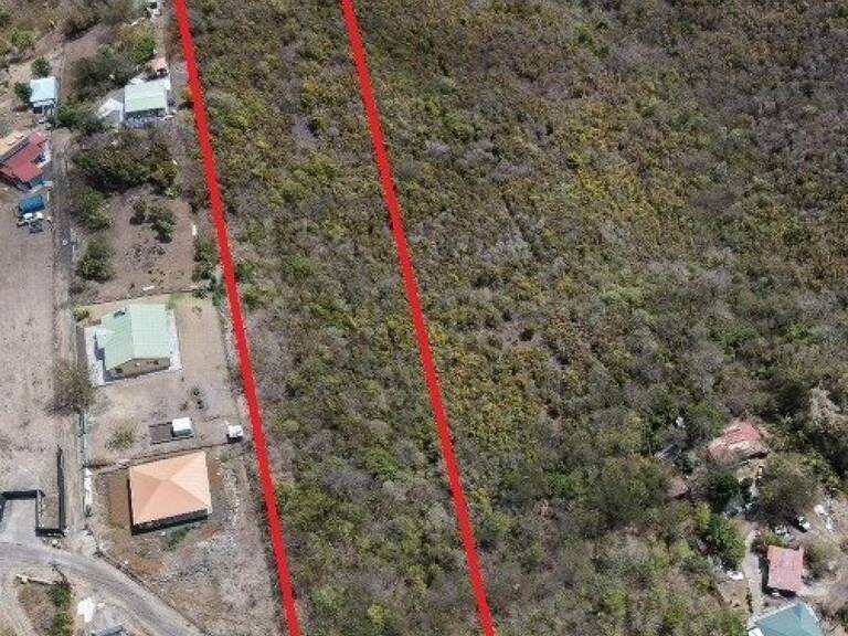Terrain d'exception de 10 000 m² au Marin, offrant une vue mer imprenable, déjà viabilisé et idéalement situé à proximité du bourg et d'une plage accessible en 5 minutes : un cadre paisible, ventilé et sans vis-à-vis, entouré de villas avec piscine, parfait pour concrétiser votre projet de construction au cœur de la nature. — photo 1