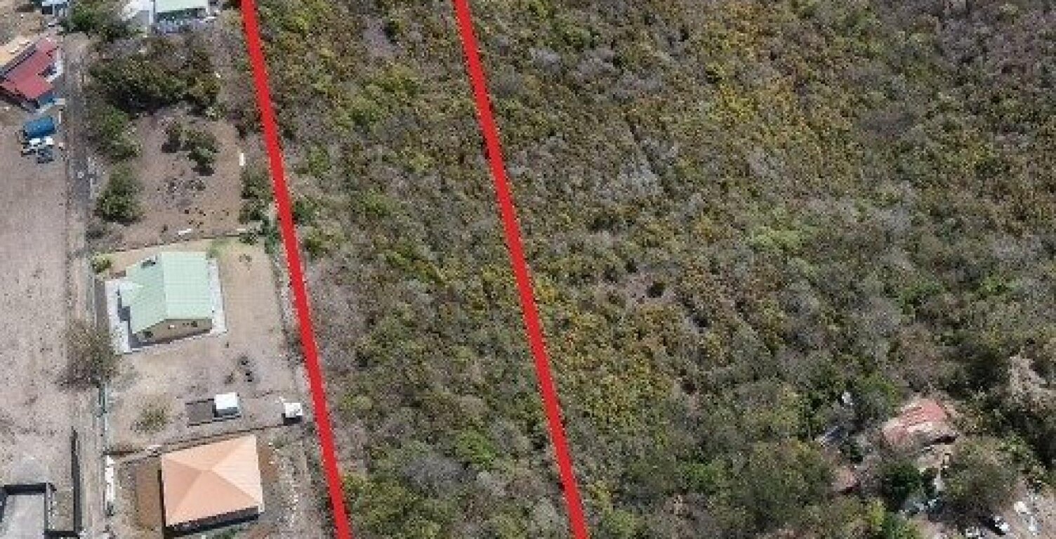 Terrain d'exception de 10 000 m² au Marin, offrant une vue mer imprenable, déjà viabilisé et idéalement situé à proximité du bourg et d'une plage accessible en 5 minutes : un cadre paisible, ventilé et sans vis-à-vis, entouré de villas avec piscine, parfait pour concrétiser votre projet de construction au cœur de la nature. — photo 1