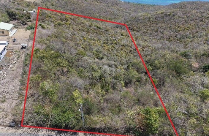 Terrain d'exception de 10 000 m² au Marin, offrant une vue mer imprenable, déjà viabilisé et idéalement situé à proximité du bourg et d'une plage accessible en 5 minutes : un cadre paisible, ventilé et sans vis-à-vis, entouré de villas avec piscine, parfait pour concrétiser votre projet de construction au cœur de la nature. — photo 3