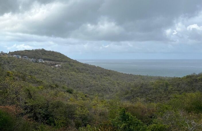 Terrain d'exception de 10 000 m² au Marin, offrant une vue mer imprenable, déjà viabilisé et idéalement situé à proximité du bourg et d'une plage accessible en 5 minutes : un cadre paisible, ventilé et sans vis-à-vis, entouré de villas avec piscine, parfait pour concrétiser votre projet de construction au cœur de la nature. — photo 4