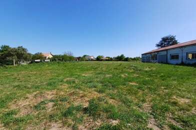 Terrain  50000 €
