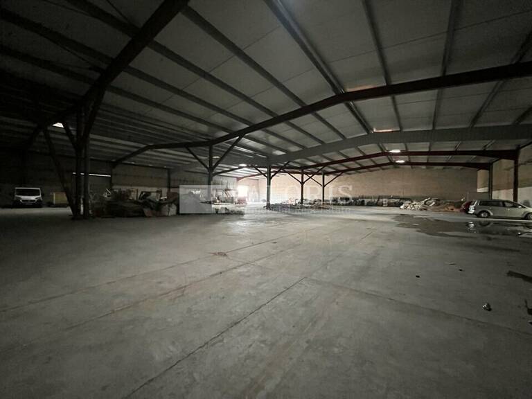 LOCAL COMMERCIAL à LOUER — photo 1