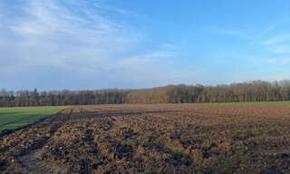 Terrain  1150 m² à vendre à Champigny-la-Futelaye (27220)