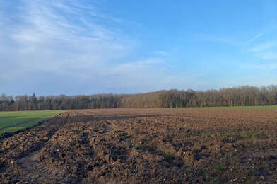 Terrain  36000 €