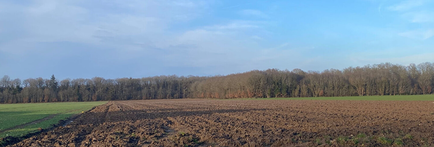 Terrain  1150 m² à vendre à Champigny-la-Futelaye (27220)