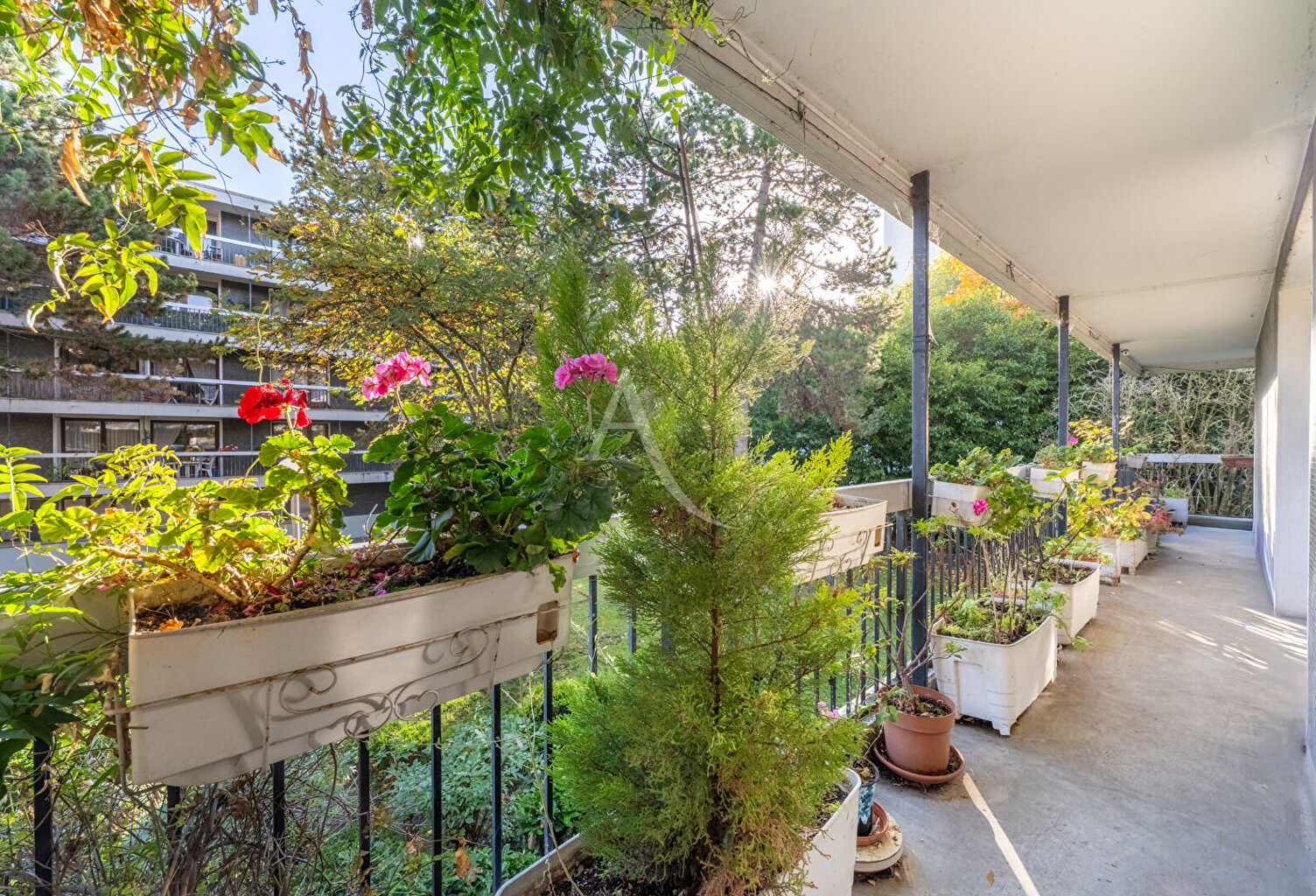 APPARTEMENT TROIS CHAMBRES GRANDE TERRASSE ! — photo 1