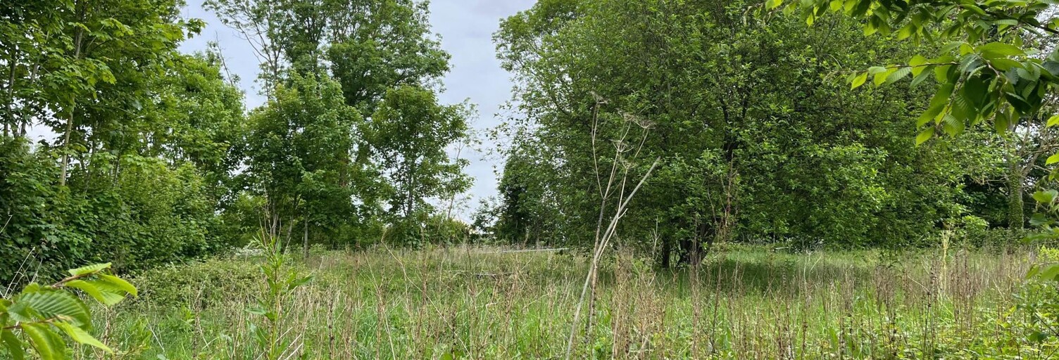 Terrain  1055 m² à vendre à Fressenneville (80390)