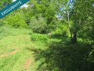 MAISON dans cadre de verdure — photo 3