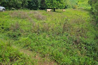 Terrain  360000 €