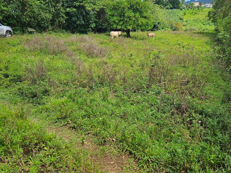 Terrain plat dans quartier résidentiel calme idéal pour investisseurs et promoteurs — photo 1