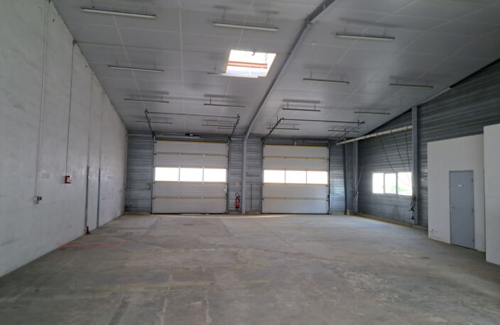 LOCAL PROFESSIONNEL 238 M2 AVEC PARKING — photo 5