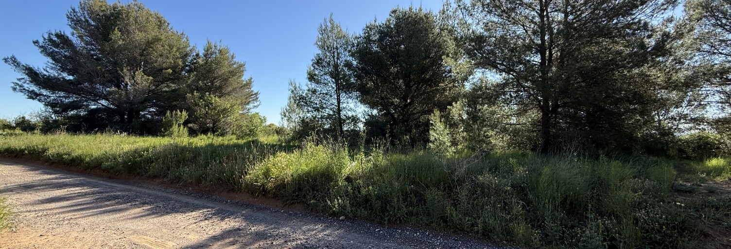 Terrain  5177 m² à vendre à Pinet (34850)