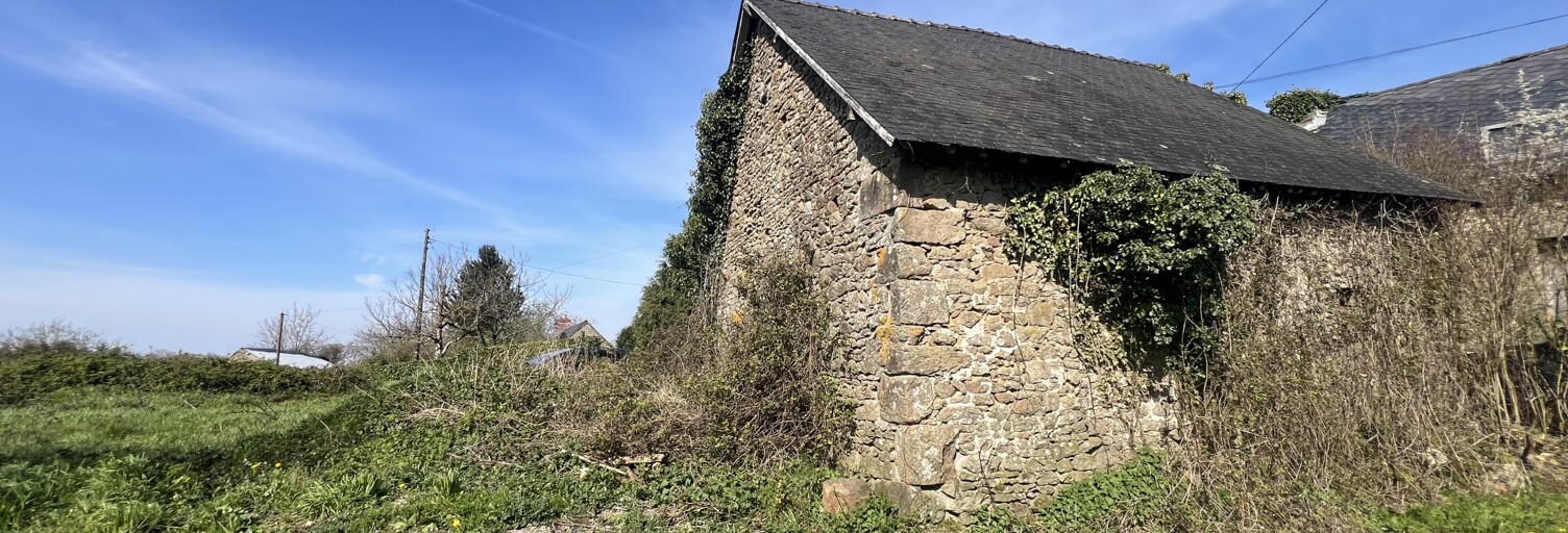 Maison 1 Pièce 50 m² à vendre à Sainte-Gemmes-le-Robert (53600)