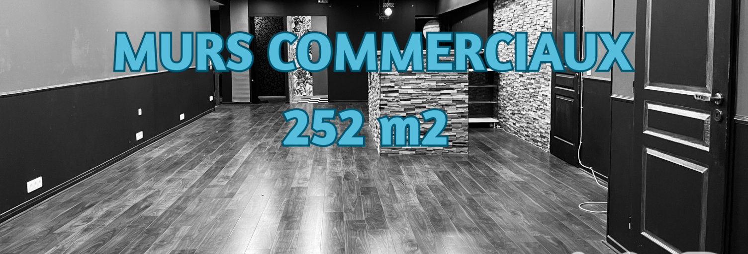 Commerce  252 m² à vendre à Claye-Souilly (77410)