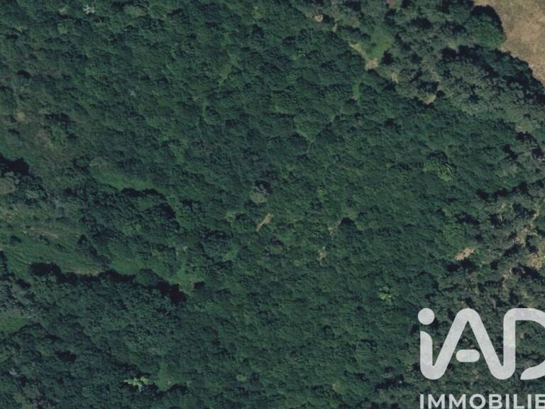 Vente Terrain 270 000 m&sup2; — photo 1